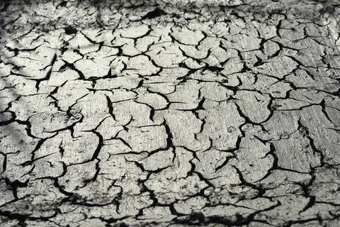 Desertification process where biological productivity is lost Stock Photos