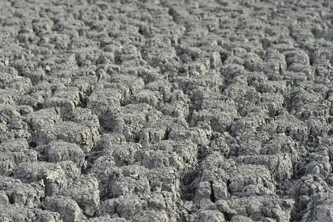 Desertification process where biological productivity is lost Stock Photos