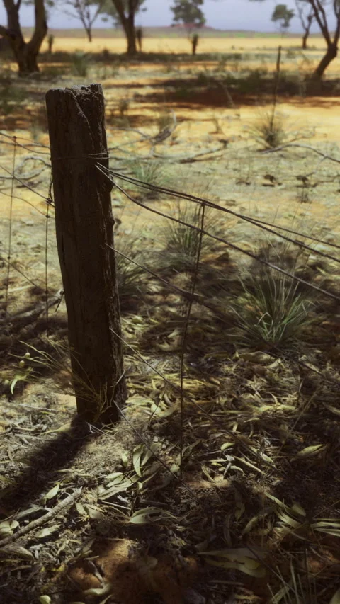 Desertlike rural setting featuring acacia trees and dry earth Stock Footage 326352048