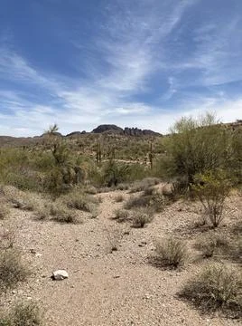 Desertndsky Stock Photos