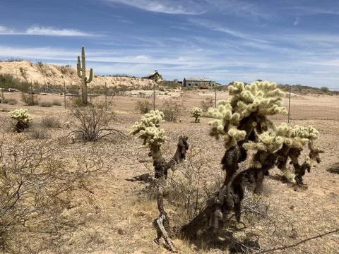 Desertsky2 Stock Photos