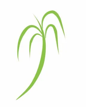 Desgn flora ilustration Stock Illustration