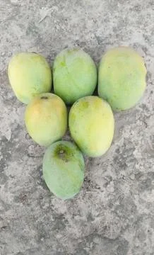 Deshi green mango 写真素材