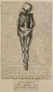 The desiccated corpse of a boy, about twelve years old, found in a vault un.. Ilustración de archivo