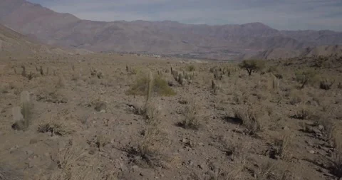 DESIERTO Stock Footage 149274751