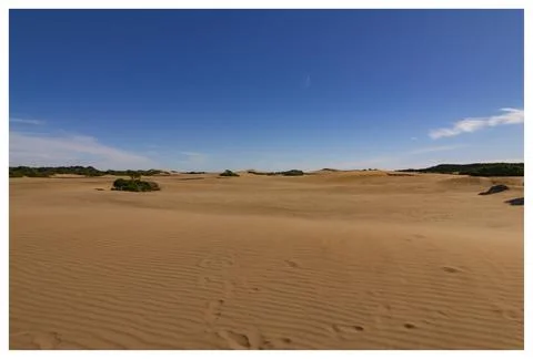 Desierto Stockfoto's