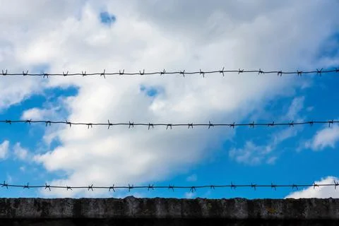 Design from a barbed wire against the cloudy sky Foto stock