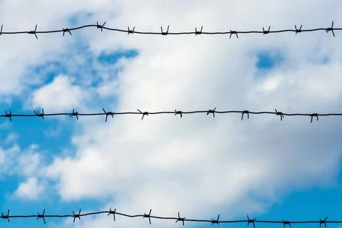 Design from a barbed wire against the cloudy sky Stock Photos