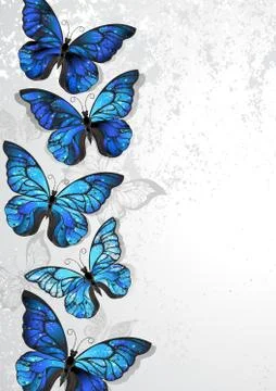 Design with blue butterflies morpho Ilustración de archivo
