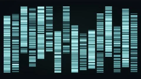 Design Color Big Genomic Data Visualization Vector Stock Illustration