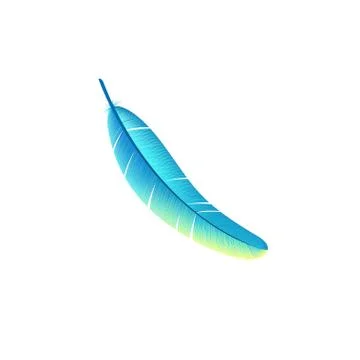 Design of colorful bird feather vector Stockillustratie