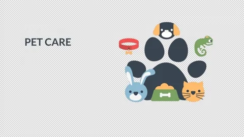 Design Concept Pet Care Stock Footage 221383909