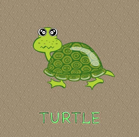 Design Cute Little Turtle. small icon for stock. High quality illustration Stock Illustration