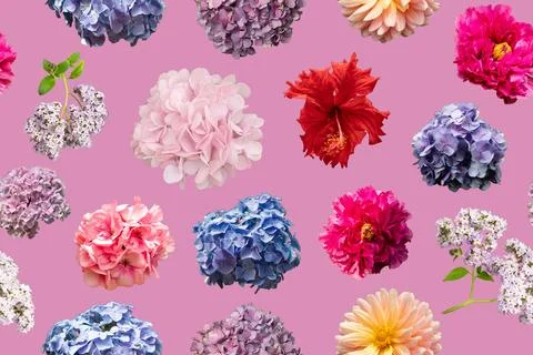 The design displays a seamless pattern made up of different types of flower.. Foto stock