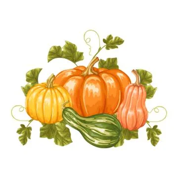 Design element with pumpkins. Decorative ornament from vegetables and leaves Stock Illustration