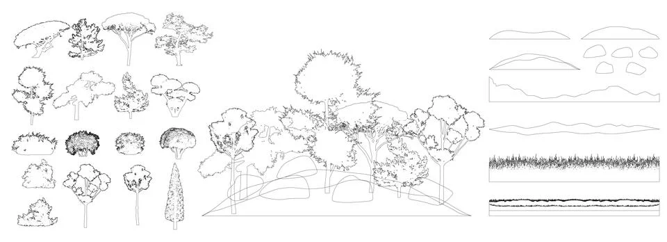 Design elements of decorative tree, collection. Contours. Vector illustration イラスト素材