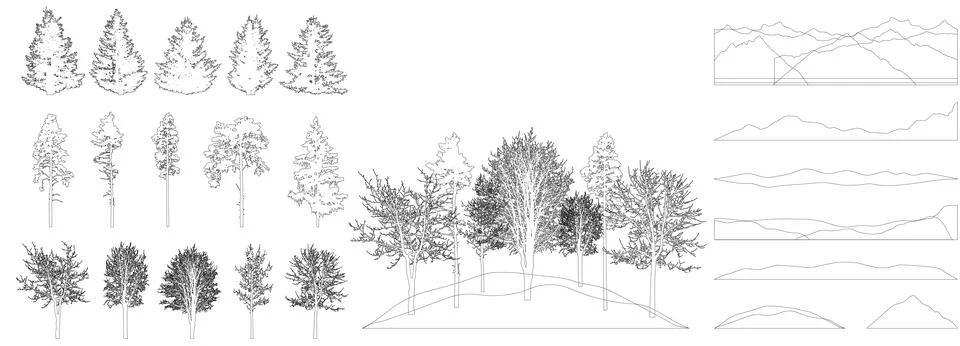 Design elements of  forest trees. Constructor of landscape. Contours of bea.. 스톡 일러스트
