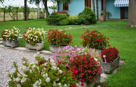 Design elements of the green zone in the garden Stock Photos