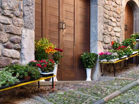 Design elements of the green zone in the garden Fotos Stock
