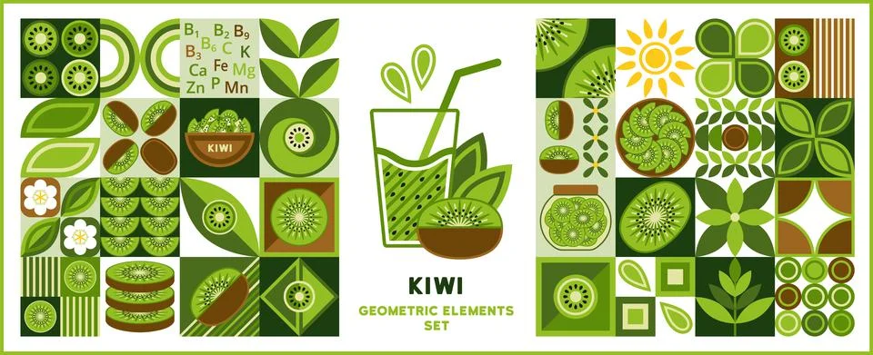 Design elements, logo with kiwi in geometric style Stock Illustration