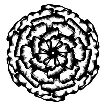 Design graphic of Botanical circle frame Stock Illustration
