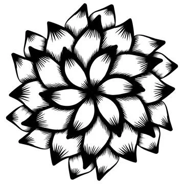 Design graphic of Botanical circle frame. Hand drawn round line border Illustrazione stock