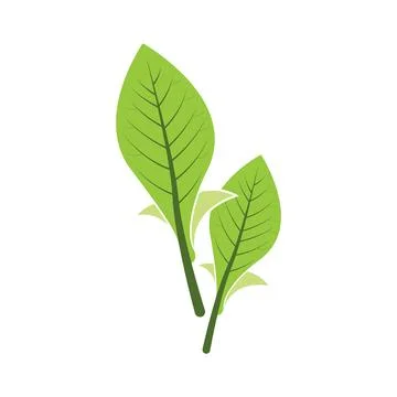 Design leaf vector logo Illustrazione stock