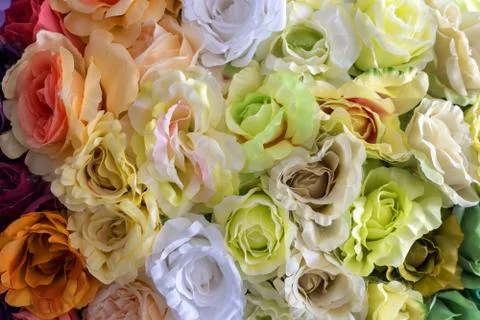 Design pattern of flower texture and background 스톡 사진