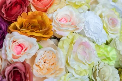 Design pattern of flower texture and background Stock-Fotos