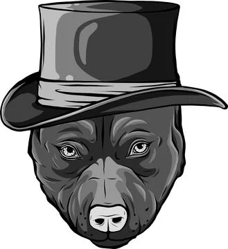 Design of pitbull dog with hat vector illustration Stock Illustration