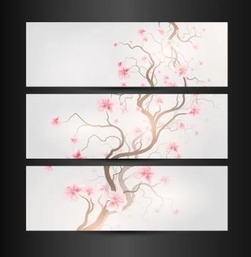 Design Sakura Illustrazione stock
