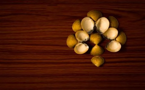 Design with sea shells Stock Photos