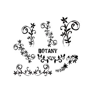 Design set featuring flourish borders corner elements Decorative Stock Illustration