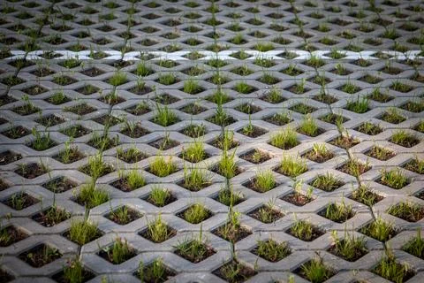 Design solution for street construction, pavement and grass in between Stock Photos