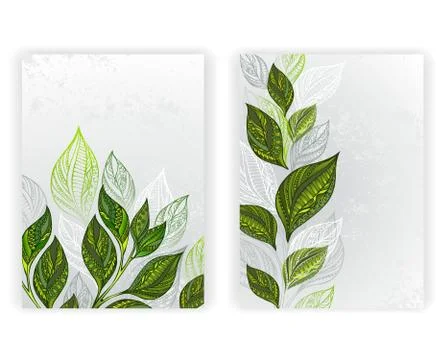 Design with tea leaves Stock Illustration