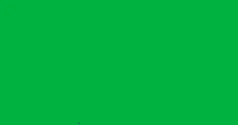 Design team presenting black rectangle on transparent canvas, showing Stock Footage 317595370