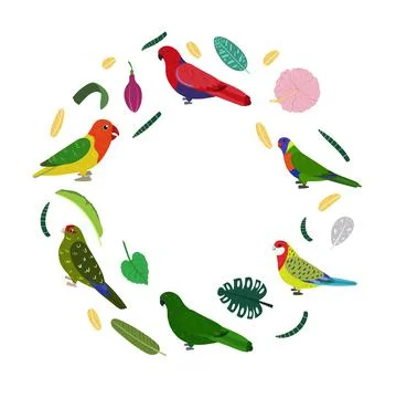 Design template with parrots in circle for kid print. Round composition of 스톡 일러스트