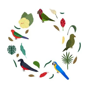 Design template with parrots in circle for kid print. Round composition of 스톡 일러스트