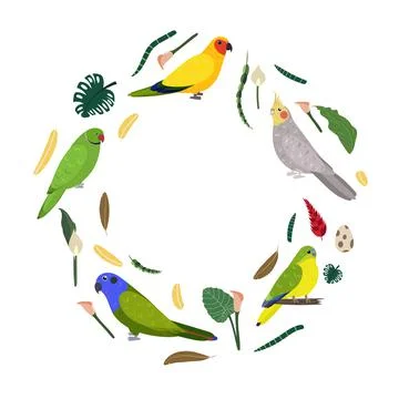 Design template with parrots in circle for kid print. Round composition of 스톡 일러스트