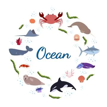 Design template with sea animal in circle for kid print. Round composition of Stock Illustration