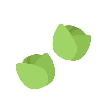 Design vector image icons brussels-sprouts Stock Illustration