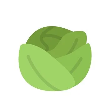 Design vector image icons cabbage Stock Illustration