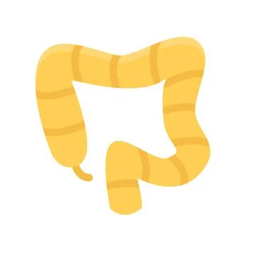 Design vector image icons colon Illustrazione stock