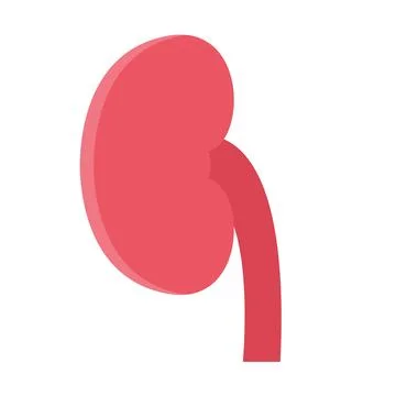 Design vector image icons kidney Illustrazione stock