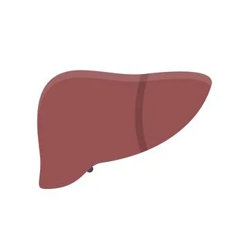 Design vector image icons liver Stock Illustration