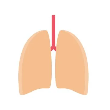 Design vector image icons lungs Stock Illustration
