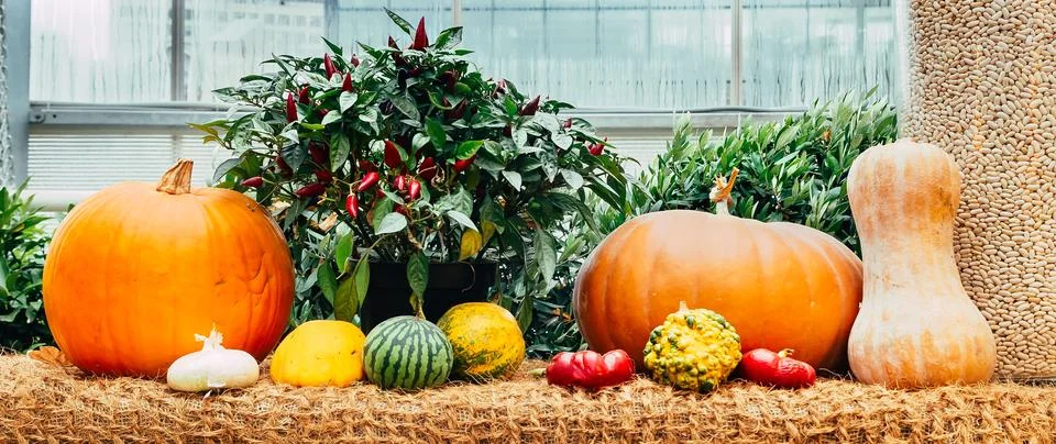 Design Web Concept Long Format Stock Photos