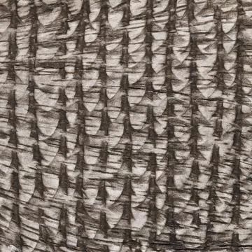 Design on wood for pattern and background Stock Photos