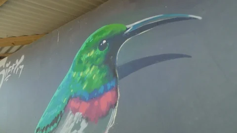 Designed Bird Paint on the Wall Stock Footage 106554867