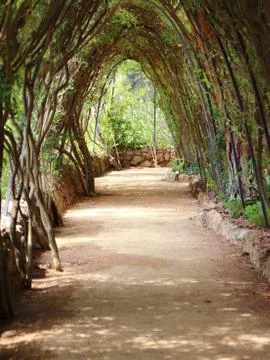 Designed Path under Pergola with Braid Branches Stock Photos